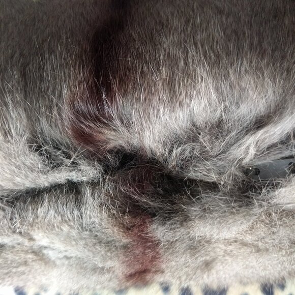 Gorgeous Vintage Fur Hand/Neck Collar & Muff Hand Warmer with Wrist Strap - Picture 4 of 6